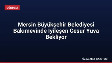 Mersin Büyükşehir Belediyesi Bakımevinde İyileşen Cesur Yuva Bekliyor